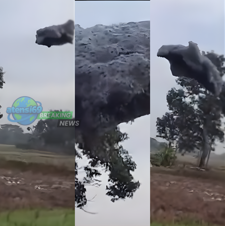 gumpalan busa hitam subang