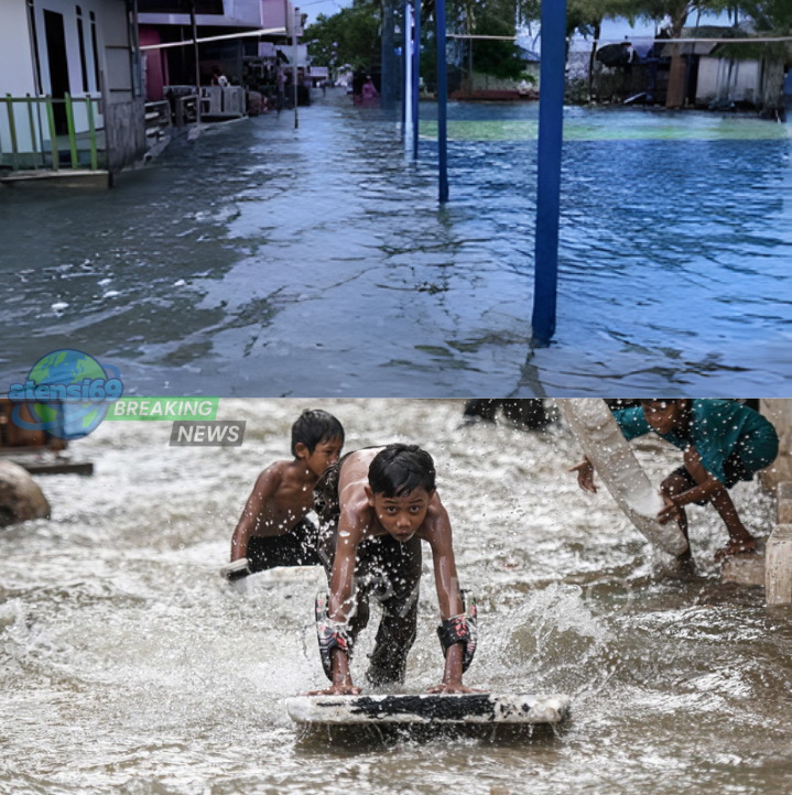 banjir rob