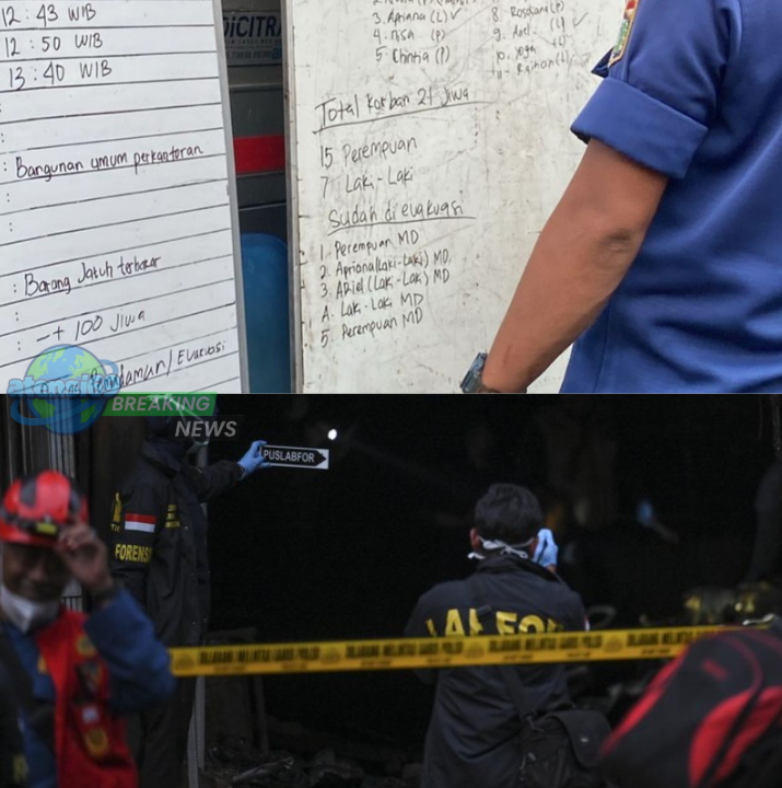 korban kebakaran terra drone